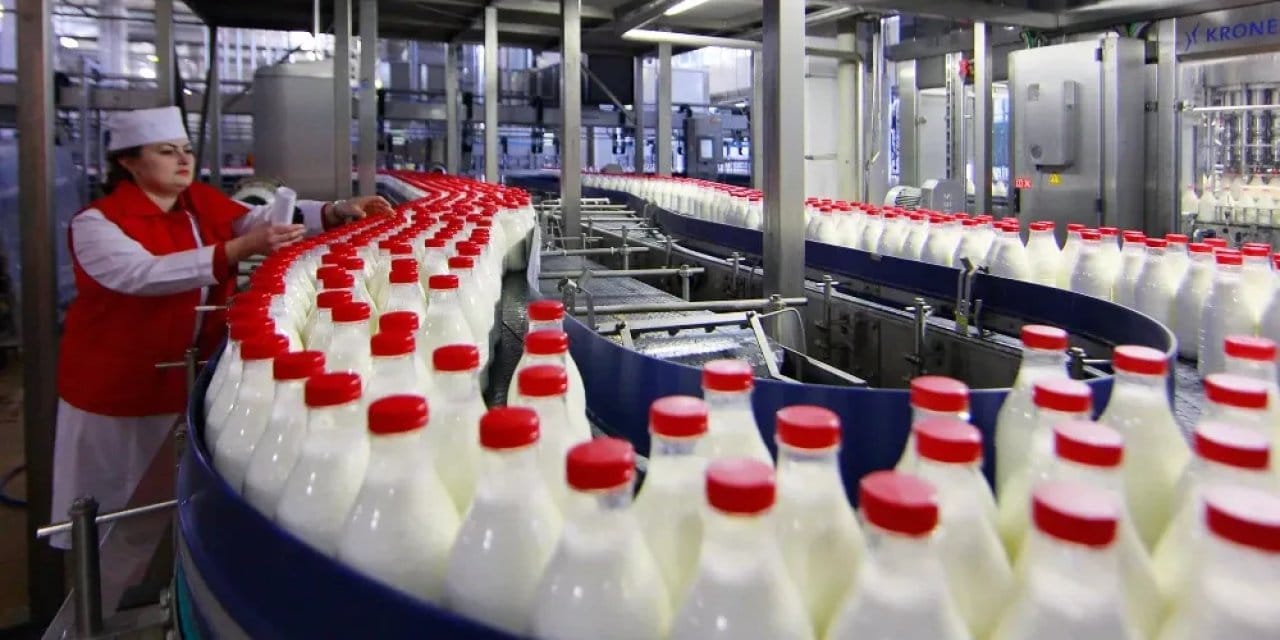 30 ulkeye ihracat yapan sut firmasi iflas etti AT5LUkYa