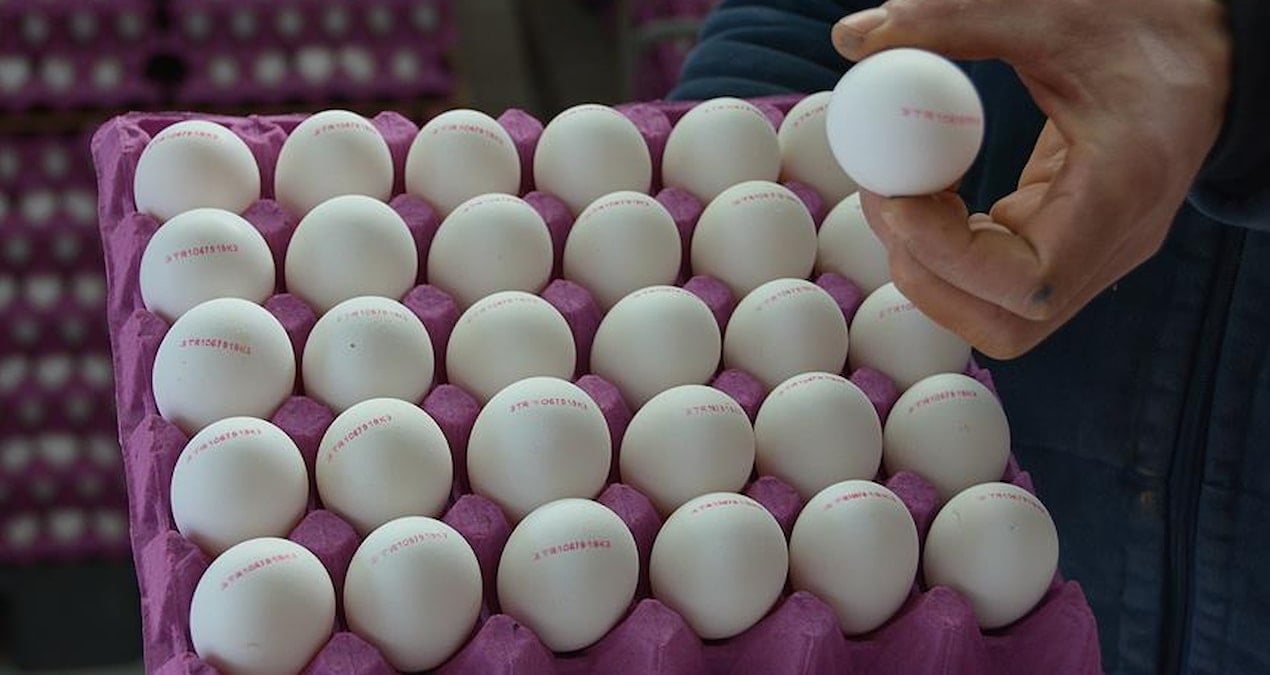 stoklayin uyarisi yapilmisti yumurta fiyatlarina zam geldi ZgUOCQCQ