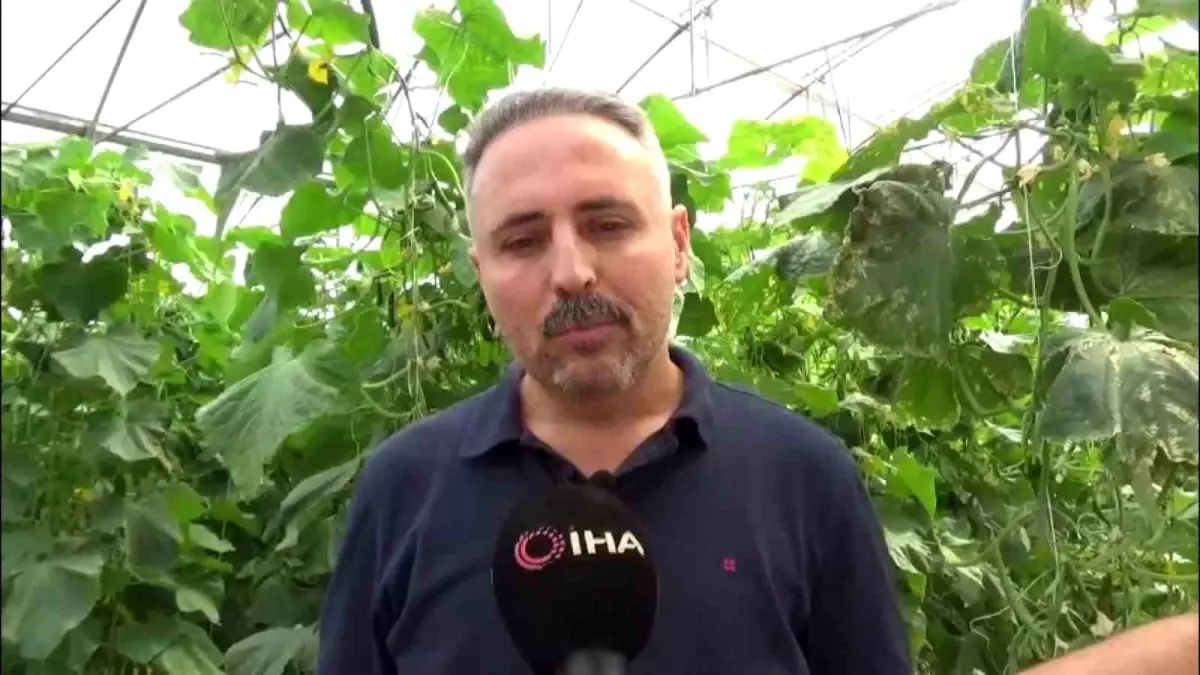 diyarbakirda salatalik serasi kuruluyor 20 kisiye istihdam saglaniyor tNVVsvPQ