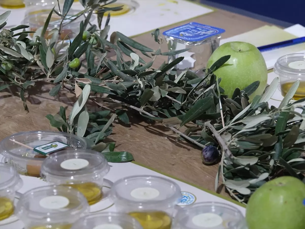 edremitte zeytinyagi tadim festivali duzenleniyor lvkHdtbh.jpg