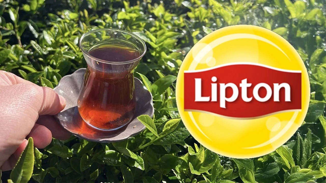 lipton 39 yilin ardindan turkiyeden cekiliyor tCuN3Af2