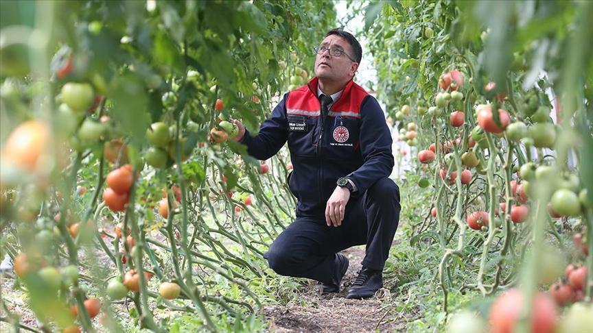 ziraat muhendislerinin olusturdugu sera vatandaslara ilham oldu CdJlq3v1