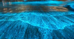 img_1782224065524